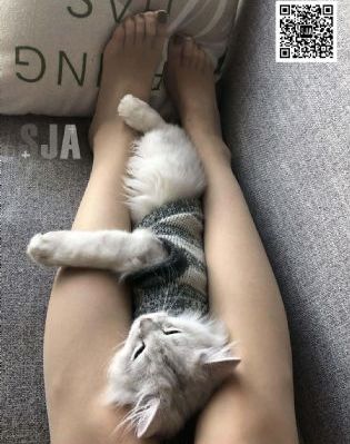 三个人的冬天_超清在线观看电视
