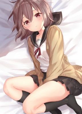 刺猬电影免费观看_高清在线手机播放